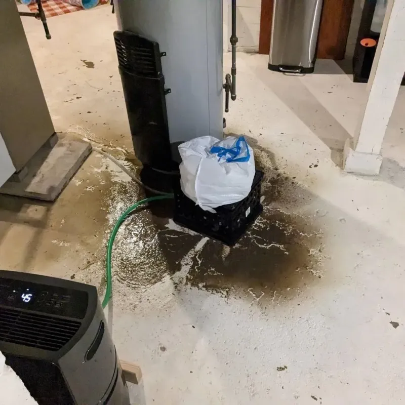 Sewage Backup Cleanup Service in Mantua Township, NJ